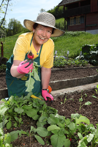 Photo: Senior woman gardening Senior woman gardening