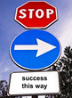 Traffic sign saying Success This Way