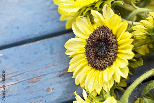 Photo: Fall Sunflowers Fall Sunflowers
