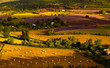 Alba sui campi coltivati a Sault Provenza Alba sui campi coltivati a Sault Provenza
