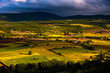 Alba sui campi coltivati a Sault Provenza Alba sui campi coltivati a Sault Provenza