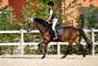 bambina a cavallo