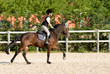 bambina a cavallo