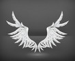 Wings White, vector