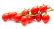 plum tomatoes on the vine plum tomatoes on the vine