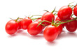 plum tomatoes on the vine plum tomatoes on the vine