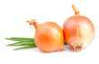 Two Fresh bulbs of onion and Fresh Scallions isolated on a white