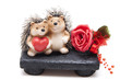 Igel mit Herz und Rose Igel mit Herz und Rose