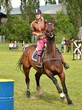 rider show jumping