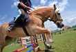 rider show jumping