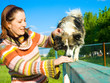 woman is dog training
