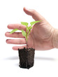 Photo: Saving future Saving future