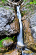 nasswaldfall