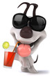 Chien et cocktail