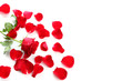 Red Rose & Petals