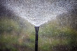 Irrigation