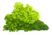 Aromatic herbs.