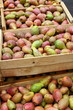 Fresh fruits and vegetables at the local market