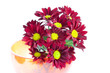 Flowers in vase Flowers in vase
