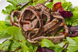 salat rindfleisch streifen salat rindfleisch streifen