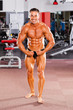 male bodybuilder flexing his muscle in gym