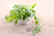 Rucola im Schälchen