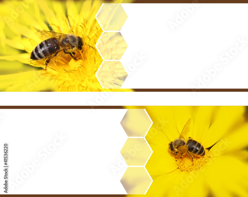 Foto: Honeybee banners Honeybee banners