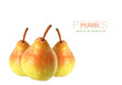 Three Pears. Isolated On White Background. Three Pears. Isolated On White Background.