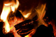 peat briquettes burning