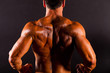 rear view of a bodybuilder's back