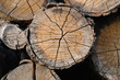 Photo: cross grained wood appletree cross grained wood appletree