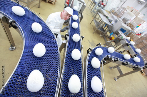 Photo: specialist at egg production line in gmo factory specialist at egg production line in gmo factory