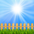 Summer background