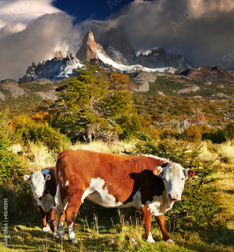 Photo: Mount Fitz Roy, Patagonia, Argentina Mount Fitz Roy, Patagonia, Argentina