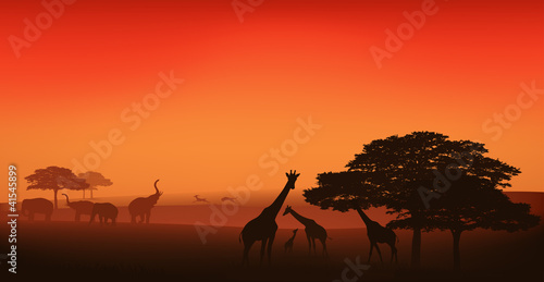 Vector: african savannah editable vector illustration african savannah editable vector illustration