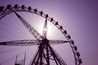 ferris wheel