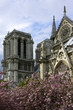 Notre Dame, Paris Notre Dame, Paris