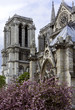 Notre Dame, Paris Notre Dame, Paris