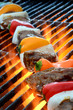 Grilling Kabob with Fire