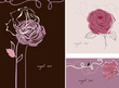 Roses card collection Roses card collection