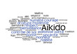 Web Art Design AIKIDO TAG CLOUD NUAGE  30