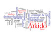 A fényképek részletei Web Art Design AIKIDO TAG CLOUD NUAGE  100