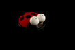 Coccinella su fondo nero