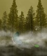 Fantasy boat