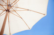 Parasol
