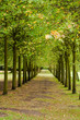 Park avenue
