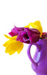 Tulips.