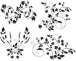 Floral elements