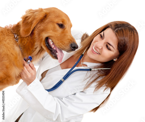 Photo: Female veterinarian Female veterinarian