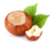 Hazelnuts with leaf